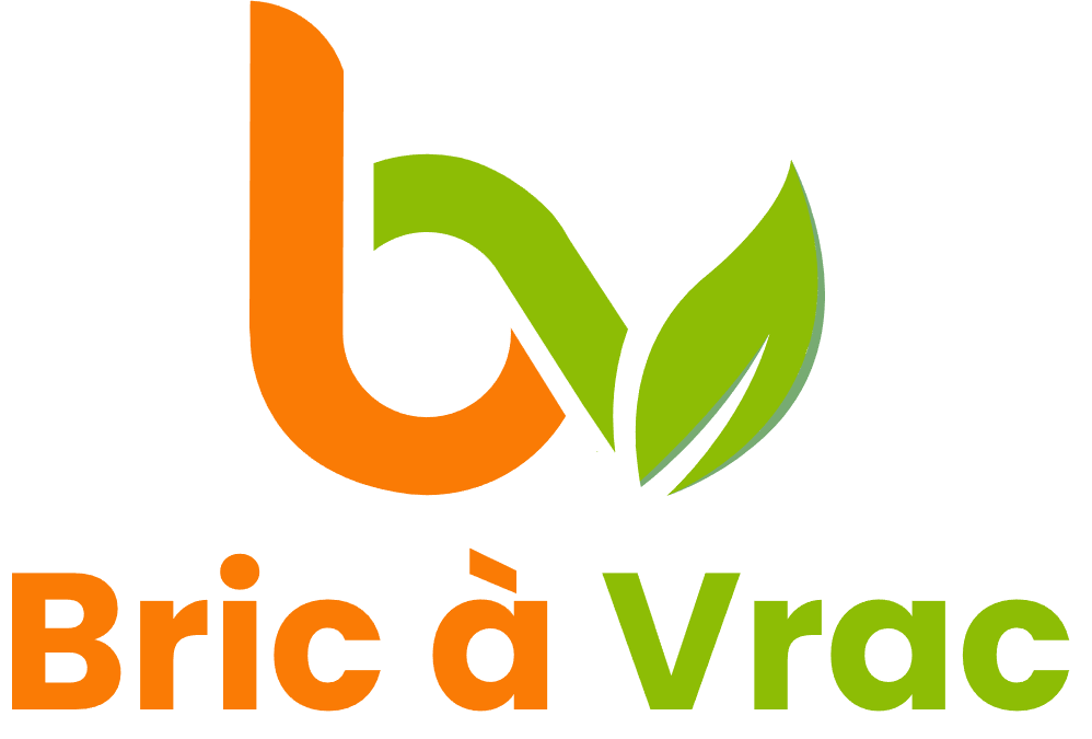 logo Bric à Vrac